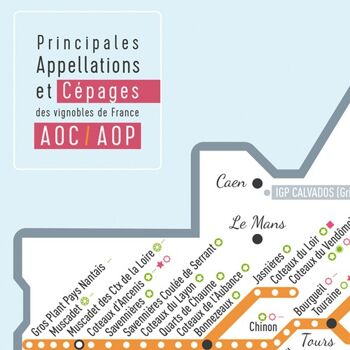 Affiche vin AOC/AOP & cépages 50x70 - version Pétillante 3