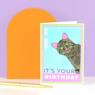 Tarjeta de cumpleaños del gato de Matchbox | tarjeta del gato | Tarjeta de felicitación