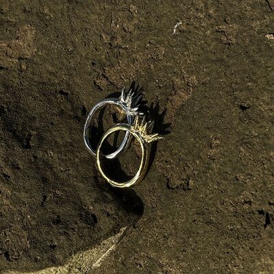 Anthozoa Ring - Sterling Silver (gold-plated)