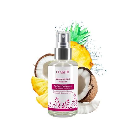 Parfum d'ambiance ananas-coco 100ml 🍍🥥