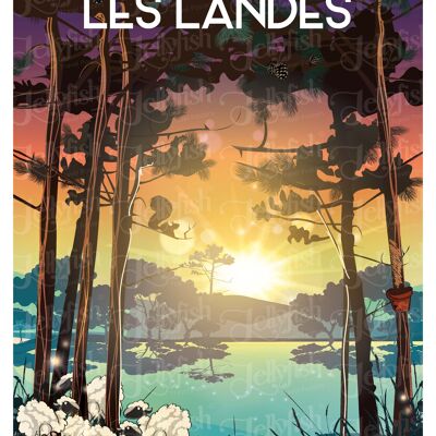 AFFICHE LES LANDES 40x30