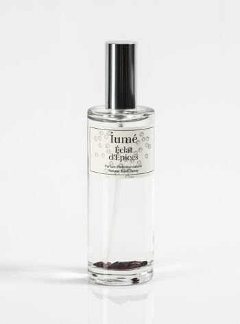 Parfum d'intérieur naturel Eclat d'Epices Grenat