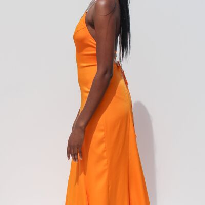 Rish Dress Orange