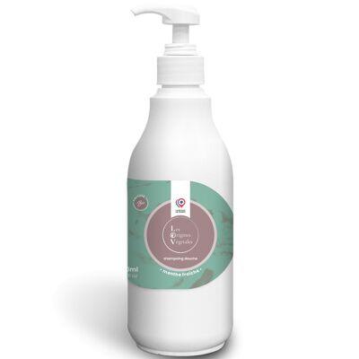 Shampoo/Dusche der Pflanze Ursprungs frische Minze