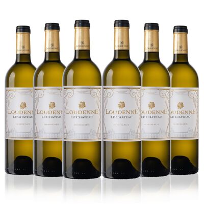 Loudenne Le Château - Bordeaux Blanc 2017 (caisse de 6btl x75cl)