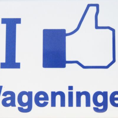 Magnete frigo Mi piace Wageningen