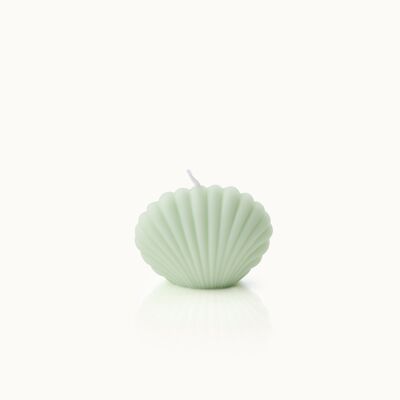 Shell Candle Small Mint