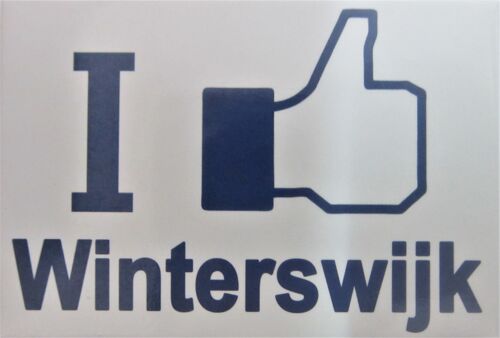 Fridge Magnet I Like Winterswijk