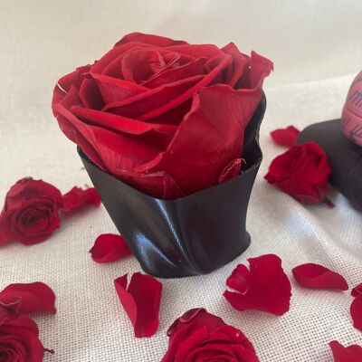 1 Ewige Rose schwarz Blumenkasten