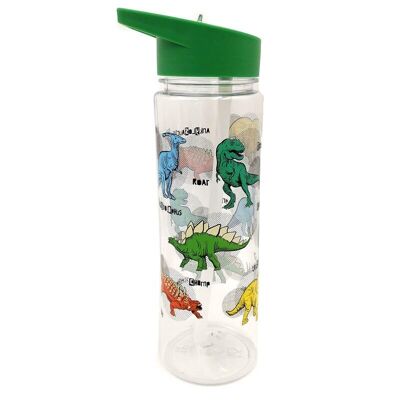 Plastic 550ml Water Bottle with Flip Straw - Dinosauria