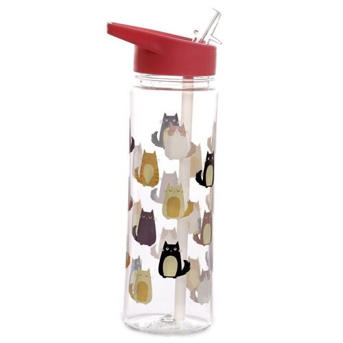 550ml Water Bottle with Flip Straw - Feline Fine Cat