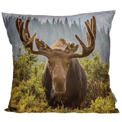 Moose Photo Cushion