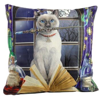 Coussin Chat Hocus Pocus de Lisa Parker 1