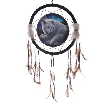 Lisa Parker Gardien du Nord Dreamcatcher 33cm 1