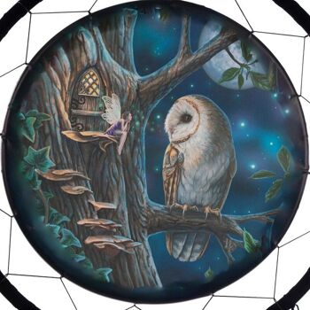 Lisa Parker Fairy Tales Owl & Fairy Dreamcatcher 60cm 2