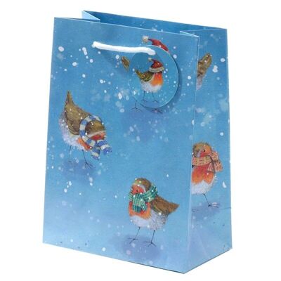 Jan Pashley Christmas Robin Gift Bag - Medium