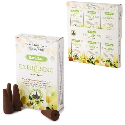 37461 Stamford Backflow Incense Cones - Energising