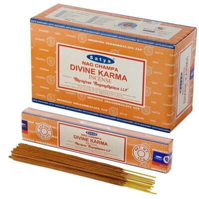 01350 Bâtonnets d'encens Satya Divine Karma Nag Champa