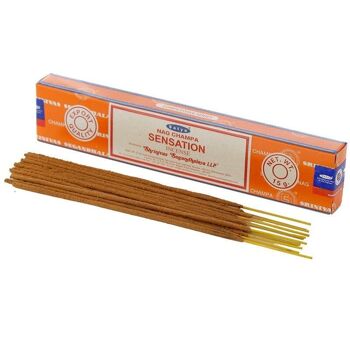 01362 Bâtonnets d'encens Satya Sensation Nag Champa 2