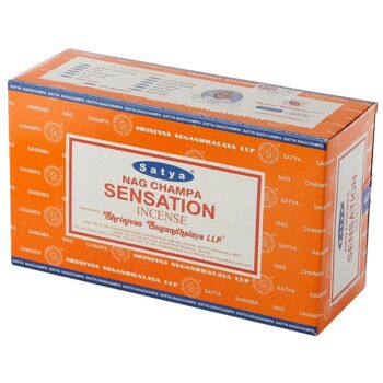 01362 Bâtonnets d'encens Satya Sensation Nag Champa 6