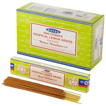 01366 Bâtonnets d'encens Nag Champa à la citronnelle tropicale Satya 4