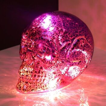 Skulls and Roses Petite LED Métallique Deux Tons en Forme de Tête de Mort 4