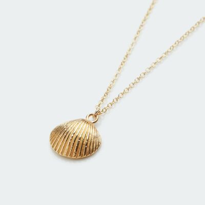 Cockle Shell necklace gold