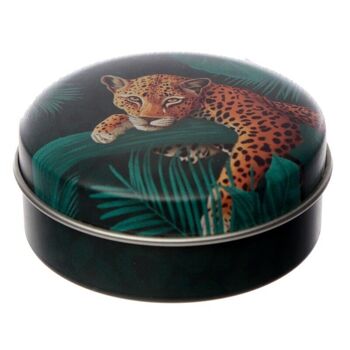 Baume à lèvres à imprimé animal Big Cat Spots & Stripes en boîte 4