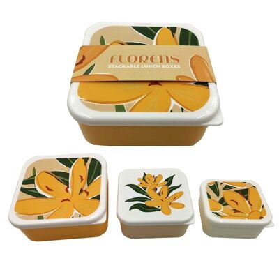 Lot de 3 Lunch Box Snack Pots M/L/XL - Florens Hesperantha