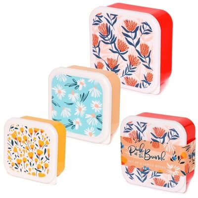 Set di 3 Lunch Box S/M/L - Daisy Lane, Protea e Ranuncolo