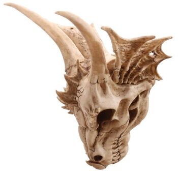 Grande décoration de crâne de dragon 4