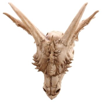 Grande décoration de crâne de dragon 5