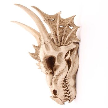 Grande décoration de crâne de dragon 7