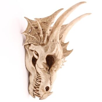 Grande décoration de crâne de dragon 8
