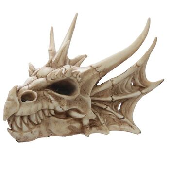 Décoration de crâne de dragon 1
