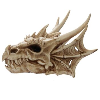 Décoration de crâne de dragon 5