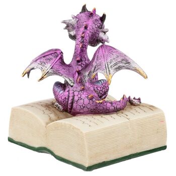 Éléments Dragon avec livre 4