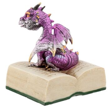 Éléments Dragon avec livre 5