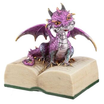 Éléments Dragon avec livre 7