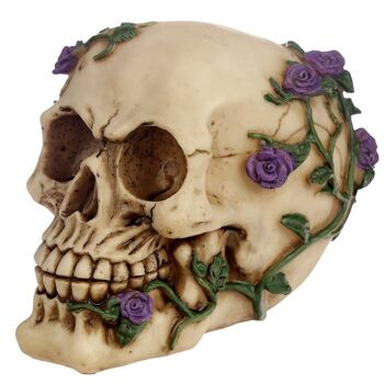 Crânes et roses Crâne avec roses violettes 2