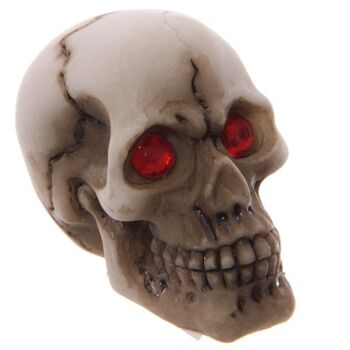 Crâne horrible avec décoration yeux gemme rouge 5