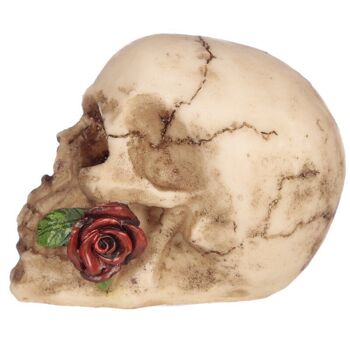 Crâne avec Rose dans les dents 3