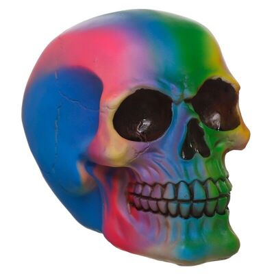 Rainbow Skull Decoration