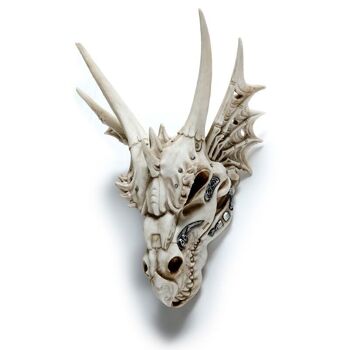 Grande décoration de crâne de dragon avec détail métallique 1