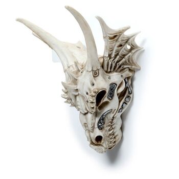 Grande décoration de crâne de dragon avec détail métallique 6
