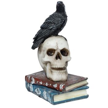 Ornement Corbeau debout sur un crâne et des livres 4
