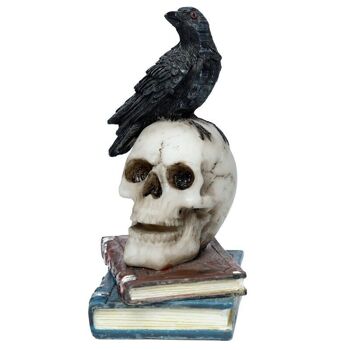 Ornement Corbeau debout sur un crâne et des livres 5