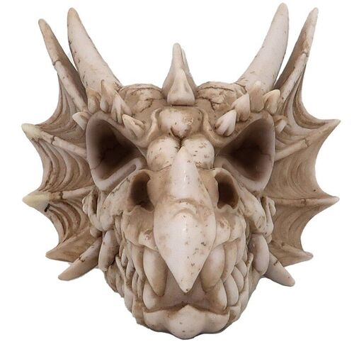 Shadows of Darkness Dragon Skull Wall Plaque