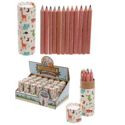 Zooniverse Pencil Pot with 12 Colouring Pencils