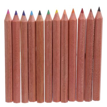 Pot à crayons Zoouniverse avec 12 crayons de couleur 2